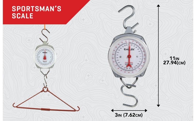 The Allen Company Analog Scale